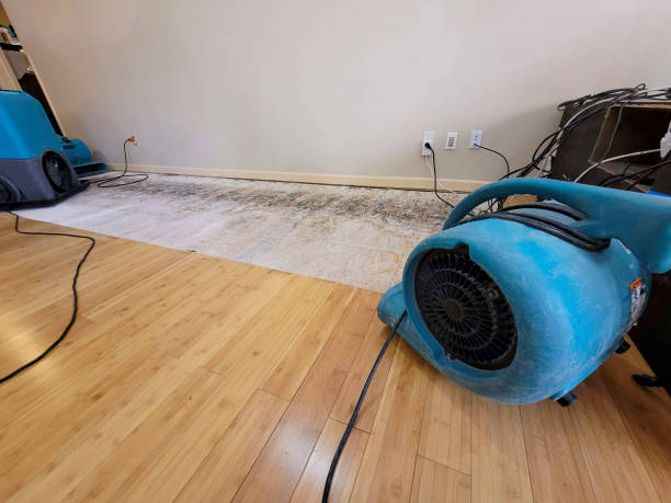 Professional Structural Drying technician working in New Franklin, OH